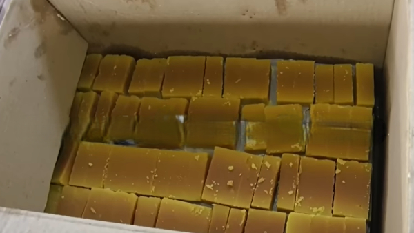 Hubballi House Allotment Program Food Arranged for Over 1 35 Lakh People organized by Government Hubballi House Allotment Program Food Arranged for Over 1 35 Lakh People organized by Government