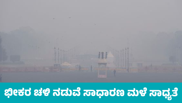 IMD Weather Forecast Dense Fog Severe Cold and Light Rain Expected in Many Parts of India IMD Weather Forecast Dense Fog Severe Cold and Light Rain Expected in Many Parts of India