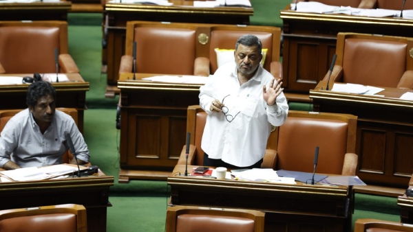 SS Mallikarjun Measures will be taken to control whiteflies and insects in coconut crops