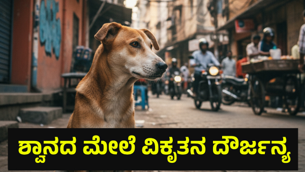 Bengaluru Man Under Investigation for Stray Dog Abuse and Death