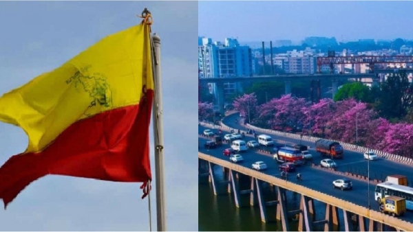 Kannadigas Generosity and Love for Kannada Sparks Debate Across Social Media Users Online Know more