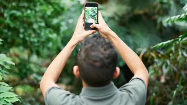 Mobile Addiction Mobile Addiction