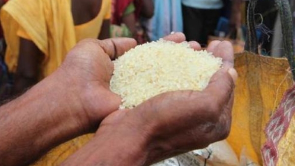 Ration 176 Bags of Ration Rice Seized Near Kumbaluru in Harihar Taluk of Davanagere district Ration 176 Bags of Ration Rice Seized Near Kumbaluru in Harihar Taluk of Davanagere district