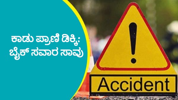 Tragic Accident In Hosanagara Tragic Accident In Hosanagara