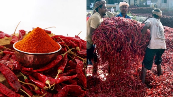 Byadgi Chilli Market