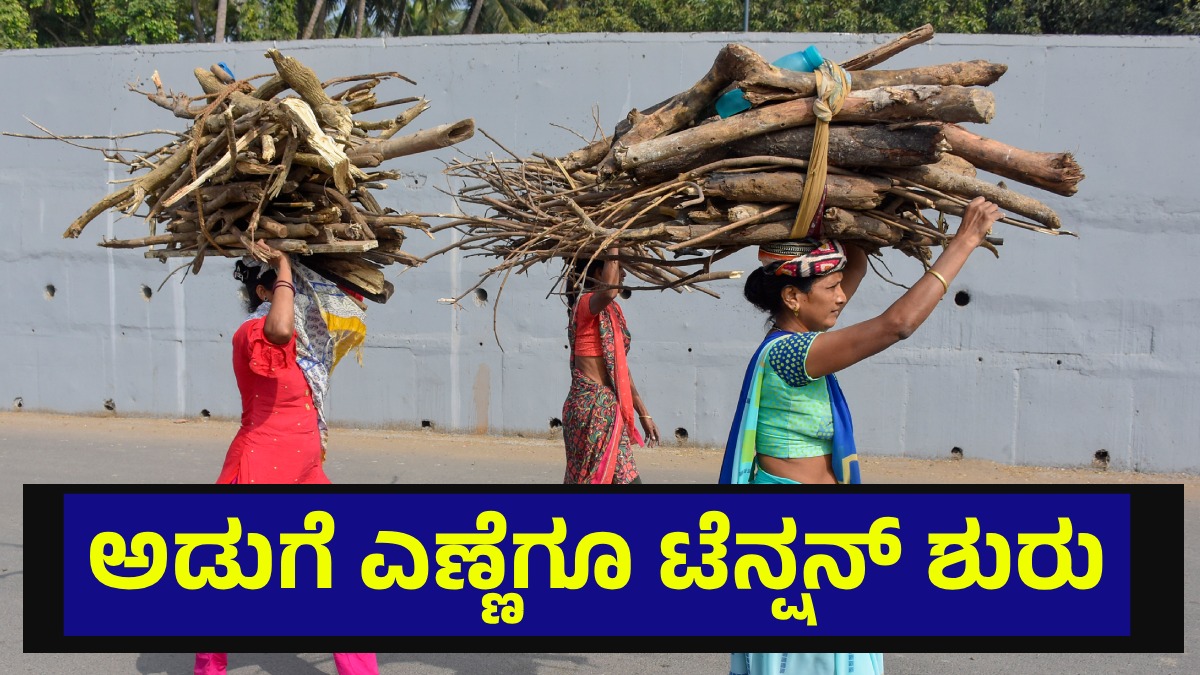 ಎಲ್‌ಪಿಜಿ ನಂತರ ಅಡುಗೆ ಎಣ್ಣೆ ವಿಚಾರದಲ್ಲೂ ಶುರುವಾಯ್ತು ದೊಡ್ಡ ಟೆನ್ಷನ್... Cooking Oil