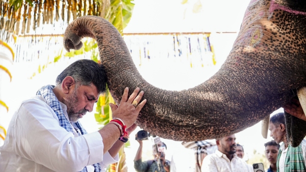 DK Shivakumar DK Shivakumar