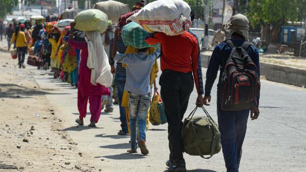 No Job Loss No Job Loss