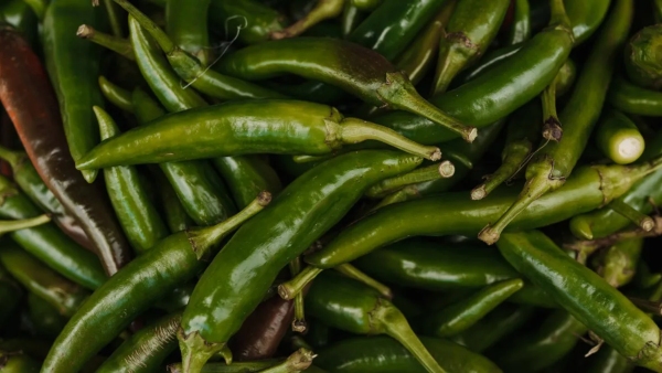 6 Vegetables to Avoid