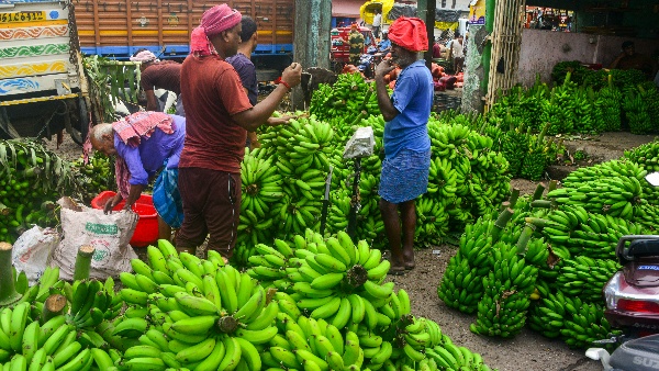 Banana Price