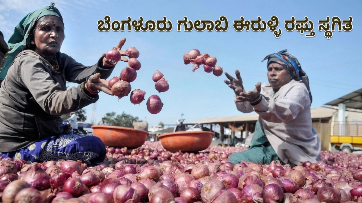 ಬೆಂಗಳೂರು ಗುಲಾಬಿ ಈರುಳ್ಳಿ ರಫ್ತು ಸ್ಥಗಿತ: ಬೆಳೆಗಾರರು ಕಂಗಾಲು; ಕೇಂದ್ರದ ತುರ್ತು ನೆರವಿಗೆ ಡಾ. ಸುಧಾಕರ್ ಆಗ್ರಹ