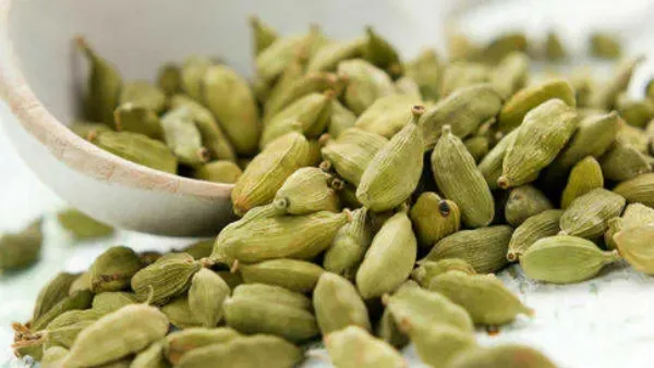 Chewing Cardamom