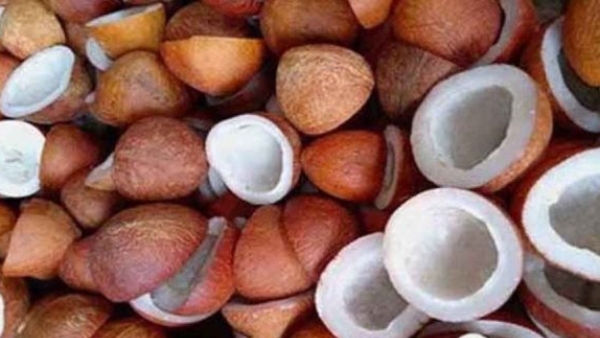 Copra Prices Skyrocket to 32 218 per Quintal at Tumakuru District s Tiptur APMC Market Know detail