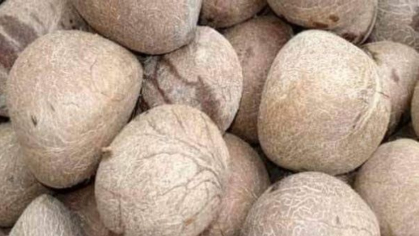 Copra Price Hit Record 38 018 in Tumakuru District s Tiptur APMC Likely to Cross 40 000 Soon