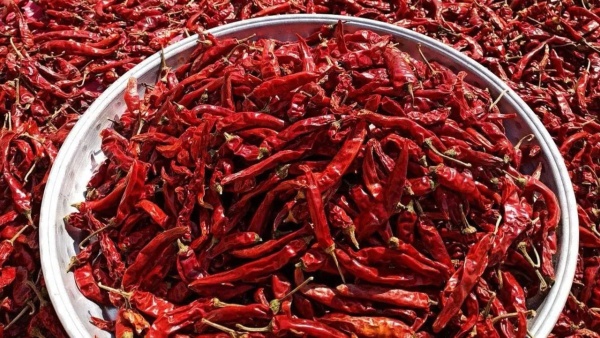 Dry Chilly Price Today