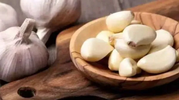 Eating Garlic in Summer