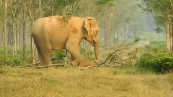 Heartbreaking Video Heartbreaking Video