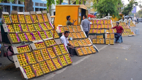 India Mango Production