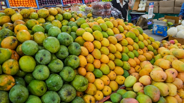 India Mango Production