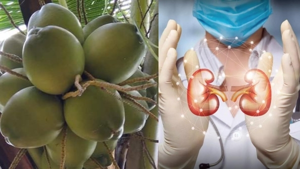 Kidney Care in Summer Kidney Care in Summer