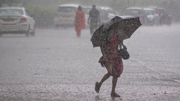 Monsoon Rain 2026
