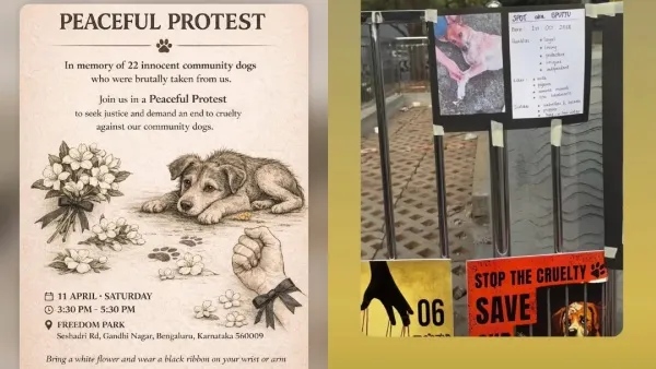 Ramya Divya Spandana