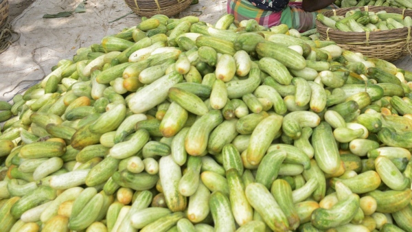 Summer Tips to Eat Cucumber