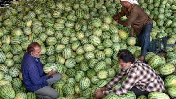 Watermelon Peel Benefits