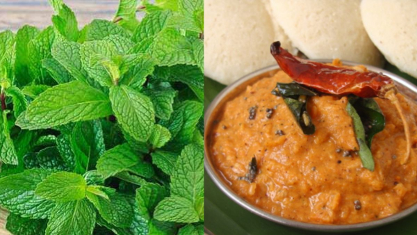 5 Delicious Chutneys