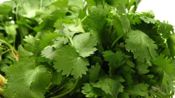 5 Summer Vegetables