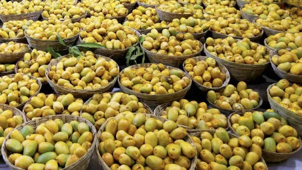 6 Smart Ways to Store Mangoes 6 Smart Ways to Store Mangoes