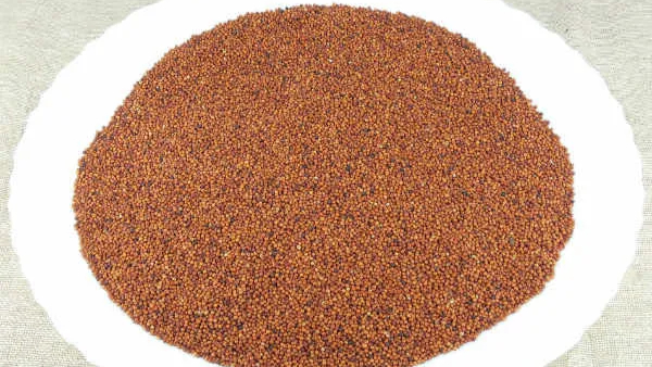 Best Time to Eat Ragi Best Time to Eat Ragi
