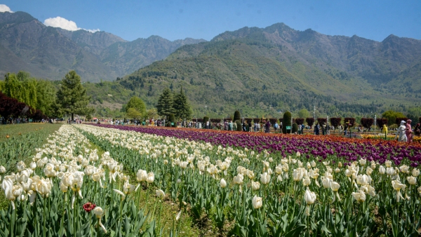 Budget Hill Stations in India