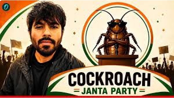 Cockroach