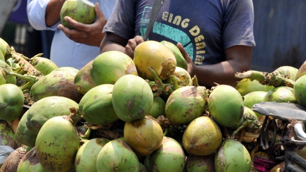 Coconut Water Coconut Water