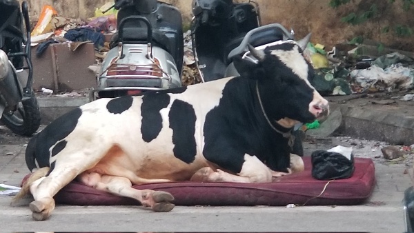 Bengaluru Bengaluru