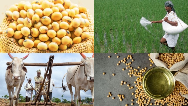 Fertilizer Price Hike Fertilizer Price Hike