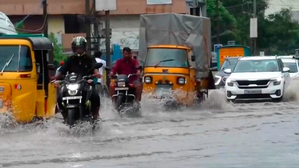 IMD Forecasts