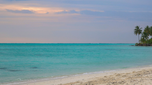 Lakshadweep Travel 2026