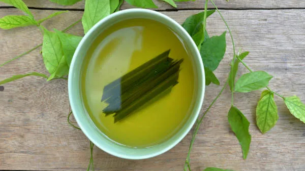 Natural Mosquito Repellent Oils Natural Mosquito Repellent Oils