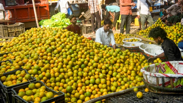 Orange City of India