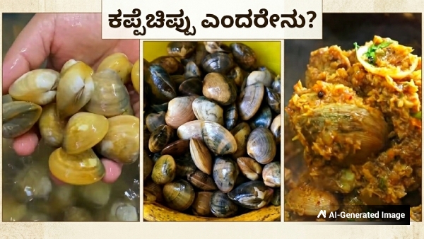 What Are Clams