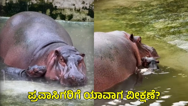 Bannerghatta Biological Park