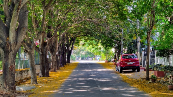 Bengaluru Green Mission