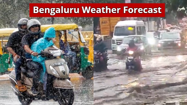 Heavy Rain