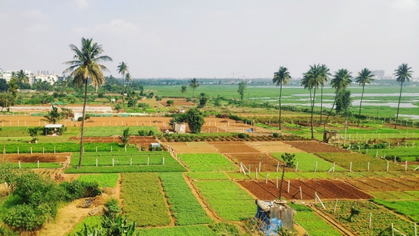 Bidadi Property Prices