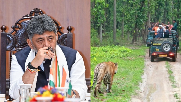 Bandipur Nagarahole Safari