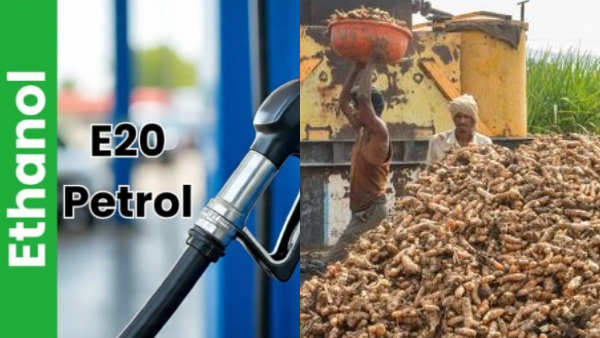 E20 Ethanol Blended Petrol