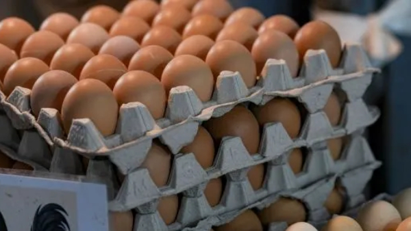 Egg Storage Tips Egg Storage Tips