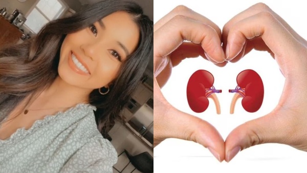 Kidney